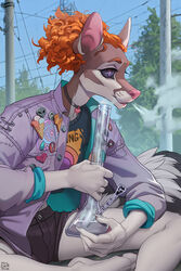  2:3 5_fingers anthro bong breasts canid canine clothed clothing day detailed_background digital_media_(artwork) drugs eyebrows eyelashes female fingers hair hi_res izzy_(wildering) mammal outside shaded sky solo wildering 