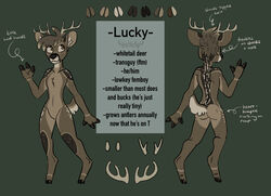  anthro antlers ass brown_body brown_eyes brown_fur brown_hair bucklucky chest_tuft deer english_text featureless_crotch front_view fur glistening glistening_eyes green_background hair horn lucky_(bucklucky) male mammal markings model_sheet mouth_closed new_world_deer no_pupils nude rear_view simple_background solo spots spotted_body spotted_fur spotted_legs spotted_shoulders standing text trans_(lore) trans_man_(lore) tuft white-tailed_deer 