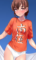  bikini bikini_under_clothes braid breasts brown_hair clothes_writing female highres kantai_collection long_hair looking_at_viewer orange_eyes orange_shirt shirt short_sleeves single_braid small_breasts smile solo souya_(kancolle) souya_agb_(kancolle) standing swimsuit t-shirt tirasi_(so) white_bikini 