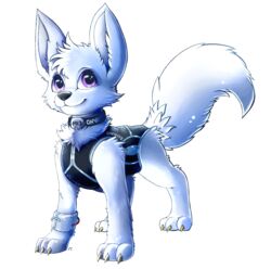  alpha_channel arctic_fox black_nose canid canine chibity claws clothed clothed_feral clothing collar female feral fluffy fluffy_tail fox fur hi_res mammal purple_eyes quadruped simple_background solo tail transparent_background true_fox white_body white_fur 