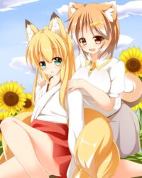  2girls animal_ears bad_id bad_pixiv_id blonde_hair blue_sky breasts brown_eyes brown_hair cloud day dog_ears dog_tail flower fox_ears fox_tail green_eyes hair_ornament hairclip hajime_(ak-r) hakama hakama_skirt japanese_clothes kneeling large_breasts light_brown_hair long_sleeves maki-chan miko multiple_girls multiple_tails open_mouth original personification puffy_short_sleeves puffy_sleeves red_hakama shiba_inu shirt short_sleeves shoulder_massage sitting skirt sky smile sunflower tail 