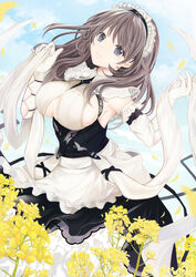  apron azur_lane black_dress breasts charybdis_(azur_lane) clothing_cutout day dress dutch_angle female flower framed_breasts gloves grey_eyes grey_hair highres large_breasts long_hair looking_at_viewer maid_headdress maya_(tirolpop) outdoors rapeseed_blossoms solo underboob underboob_cutout white_apron white_gloves yellow_flower 