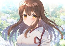  ahoge akagi_(kancolle) brown_hair commentary_request female fukuroumori highres japanese_clothes kantai_collection long_hair looking_at_viewer nontraditional_miko photo_background solo tasuki tears upper_body yellow_eyes 