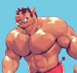  2019 abs absurd_res anthro biceps clothing digital_media_(artwork) episode0006 facial_hair fur hair hi_res male mammal muscular muscular_anthro muscular_male nipples pecs simple_background solo suid suina sus_(pig) wild_boar 