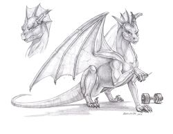 2026 barbell baron_engel beverage dragon feral greyscale horn horn_jewelry horn_ring jewelry male membrane_(anatomy) membranous_wings monochrome mythological_creature mythological_scalie mythology ring_(jewelry) scalie solo tail veiny_wings wings 