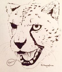  alithographica ambiguous_gender cheetah fangs felid feline feral headshot_portrait hi_res humor line_art mammal monochrome open_mouth portrait scar signature solo speech_bubble teeth text tongue traditional_media_(artwork) whiskers 