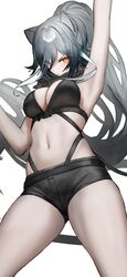  animal_ears arknights arm_up black_shirt black_shorts breasts cat_ears cleavage commentary cowboy_shot female ganet_p grey_hair hair_between_eyes highres large_breasts long_hair looking_at_viewer midriff navel orange_eyes ponytail schwarz_(arknights) shirt short_shorts shorts solo unfinished very_long_hair 