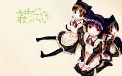  black_hair brown_eyes brown_hair catgirl gokou_hinata gokou_ruri gokou_tamaki maid matsuryuu ore_no_imouto_ga_konna_ni_kawaii_wake_ga_nai purple_eyes stockings tagme tail 