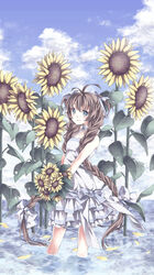  bad_id bad_pixiv_id blue_eyes blush brown_hair female flower highres long_hair looking_at_viewer original smile solo sunflower very_long_hair wading yuetsuki_(ash) 