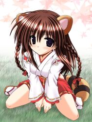  black_eyes braid brown_hair japanese_clothes long_hair miko plait raccoongirl tabi tanukimimi twintails 