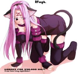  animal_ears black_eyes blush blush cat_ears collar dress fate/stay_night fate_(series) fsn gloves long_hair nekomimi purple_hair rider thigh_highs thighhighs 