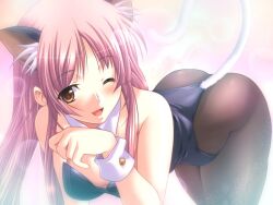  animal_ears atelier_kaguya bent_over blush blush brown_eyes cat_ears cat_tail catsuit collar cuffs dungeon_crusaderz dungeon_crusaderz_tales_of_demon_eater erika_rouleburg female game_cg hcg high_cut kittysuit long_hair m&amp;m nekomimi pantyhose pink_hair solo tail wink 