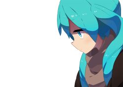  bad_id bad_pixiv_id blue_eyes blue_hair brown_scarf female hatsune_miku long_hair photoshop_(medium) scarf simple_background solo tomioka_jirou twintails upper_body vocaloid 