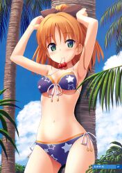  absurdres armpits arms_up bikini blush bow brown_hair duplicate female front-tie_top green_eyes hair_bobbles hair_ornament hairbow highres image_sample minagawa_yuuhi mouth_hold navel outdoors palm_tree ponytail print_bikini side-tie_bikini_bottom smile solo standing star_(symbol) star_print stomach swimsuit takayaki tree wide_ponytail yandere_sample your_diary 