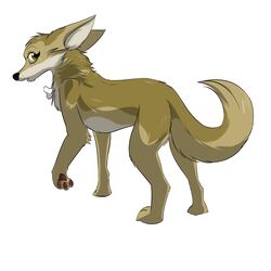  1:1 2016 african_golden_wolf bone canid canine canis el-gallo female feral fur golden_jackal hi_res jackal koralyeia_(darfix) mammal simple_background solo tan_body tan_fur yellow_eyes young 