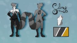  16:9 4k absurd_res acethebigbadwolf anthro biped clothed clothing digitigrade hi_res male mammal model_sheet procyonid raccoon sling_(slingyz) smile solo standing sweater topwear yellow_eyes 