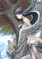  3girls bad_id bad_pixiv_id black_hair blue_eyes brown_eyes dress hair_wings highres long_hair looking_back monster_girl multiple_girls original silver_hair smile tefec tree water wings 