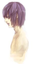  1boy bad_id bad_pixiv_id hayabusa_hideki inazuma_eleven inazuma_eleven_(series) inazuma_eleven_go male_focus purple_hair shiro_(reptil) solo upper_body white_background 