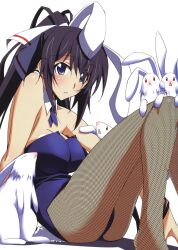  absurdres animal_ears ass bare_shoulders blue_eyes blush bow bowtie breasts bunny bunny_ears bunny_girl bunnysuit cleavage female fishnets hair_ribbon highres infinite_stratos kurashima_tomoyasu large_breasts legs long_hair looking_at_viewer official_art ponytail purple_hair rabbit ribbon shinonono_houki simple_background sitting solo thighs white_background 