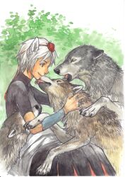  animal animal_ears bad_id bad_pixiv_id brown_eyes female hat inubashiri_momiji kobuushi licking painting_(medium) photoshop_(medium) profile short_hair sitting smile solo tokin_hat touhou traditional_media watercolor_(medium) white_hair wolf wolf_ears 