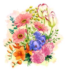  blue_flower bud commentary_request flower flower_request freesia_(flower) grass_lily multicolored_background multicolored_flower no_humans orange_flower original pink_flower purple_flower ranunculus tsushima_shuu tulip white_flower white_tulip yellow_flower 