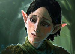  dragon_age dragon_age_2 elf female maya_sawamura_anderson merrill_(dragon_age_2) photoshop_(medium) pointy_ears portrait solo 