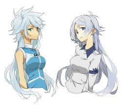  2girls blue_eyes catgirl0926 commentary_request diamond_dust_(inazuma_eleven) fubuki_shirou genderswap_(mtf) hakuren inazuma_eleven inazuma_eleven_(series) long_hair multiple_girls rule_63 suzuno_fuusuke white_background white_hair 