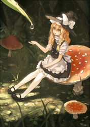  blonde_hair bow braid commentary dew_drop female grass hairbow hat kirisame_marisa mary_janes mini_person minigirl mushroom on_mushroom pantyhose shoes short_hair single_braid sitting sitting_on_mushroom solo touhou water_drop white_pantyhose witch_hat xiao_qiang_(overseas) yellow_eyes 