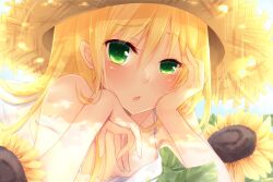  bad_id bad_pixiv_id blonde_hair blush camisole copyright_request female flower green_eyes hand_on_own_cheek hand_on_own_face hands_on_own_face hat hatachi head_rest looking_at_viewer lying on_stomach portrait solo straw_hat sunflower yellow_theme 