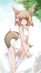  animal_ears bad_id bad_pixiv_id bow brown_hair female hairbow one-piece_swimsuit original own_hands_clasped own_hands_together photoshop_(medium) red_eyes school_swimsuit sitting solo swimsuit tail white_one-piece_swimsuit yumesato_makura 