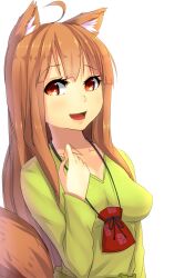  ahoge animal_ears bad_id breasts brown_hair female holo long_hair magister medium_breasts open_mouth photoshop_(medium) pouch red_eyes smile solo spice_and_wolf tail wolf_ears wolf_girl wolf_tail 