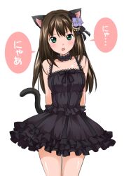  animal_ears black_dress black_gothic_dress_(idolmaster) blush brown_hair cat_ears cat_tail dress female flower green_eyes hair_flower hair_ornament idolmaster idolmaster_cinderella_girls itsuki_sayaka long_hair looking_at_viewer nyan shibuya_rin solo tail 