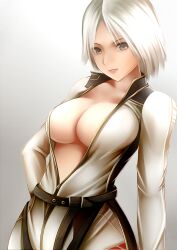  black_eyes bodysuit breasts christie_(doa) cleavage commentary_request dead_or_alive female large_breasts looking_at_viewer nannacy7 short_hair unzipped white_bodysuit white_hair zipper 