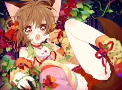  1boy animal_ears bad_id bad_pixiv_id brown_hair bulge cat_ears fangs male_focus open_mouth original otoko_no_ko red_eyes solo touyama_soboro 