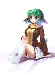  animal_ears blush breasts commentary_request female green_eyes green_hair kasodani_kyouko kneehighs large_breasts sakimori_dan short_hair sitting socks solo tail touhou 