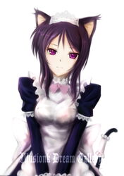  animal_ears dog_ears eneus female illusionk magician&#039;s_academy maid purple_eyes purple_hair solo tail 