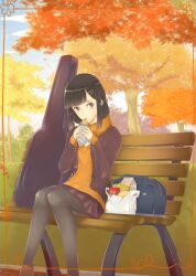  absurdres artist_request autumn bag bench black_hair brown_hair eating female food hair_ornament hairclip highres instrument_case original plastic_bag sitting skirt solo srkh tree 