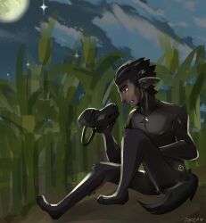 canid canine capitoline_ranch cloud colored crops dirt eric_(capitoline_ranch) grass hi_res humanoid light lighting male mammal mask moon mythological_canine mythological_creature mythology night plant sad sitting sky solo tail werecanid werecanine werecreature werewolf 