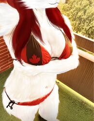  absurd_res anthro balcony bikini canada canid canid_demon canine clothing demon draw_over female hair hellhound hi_res mammal maple_leaf mythological_canine mythological_creature mythology red_hair solo summer swimwear two-piece_swimsuit 