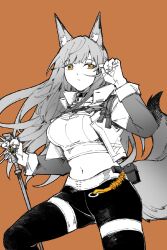  animal_ear_fluff animal_ears arknights arm_up black_leggings brown_background character_charm charm_(object) chinese_commentary closed_mouth commentary_request cowboy_shot crop_top cropped_jacket cropped_shirt female fingernails fox_ears fox_girl fox_tail franka_(arknights) franka_(rainforest_me_rainbow)_(arknights) highres holding leggings liskarm_(arknights) long_hair long_sleeves looking_to_the_side midriff navel official_alternate_costume partially_colored piaoliu_ping_ping_ping_pingzi shirt simple_background solo standing tail thigh_strap 