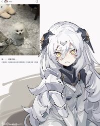  armor blush bodysuit bright_pupils chinese_text closed_mouth female girls&#039;_frontline grey_bodysuit highres long_hair long_sleeves looking_at_viewer nyto_(girls&#039;_frontline) pauldrons reference_inset shoulder_armor signature sitting tareus_(girls&#039;_frontline) translation_request white_hair yellow_eyes zocehuy 