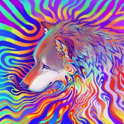  0ceancoast absurd_res black_nose brown_body canid canine canis colorful_background grey_body hi_res inner_ear_fluff looking_at_viewer mammal multicolored_sclera psychedelic rainbow_sclera solo tuft wolf 