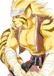  animal_humanoid anthro breath_of_fire capcom felid felid_humanoid feline feline_humanoid humanoid looking_at_viewer male mammal mammal_humanoid rei_(breath_of_fire) solo sonic3gp 