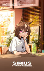  absurdres animal_ears brown_hair casual cup drinking_glass drinking_straw ear_ornament english_commentary english_text eyebrows_hidden_by_hair female food fruit hair_between_eyes highres horse_ears horse_girl light_brown_hair lime_(fruit) lime_slice long_hair looking_at_viewer multicolored_hair neonfloyd purple_eyes sirius_symboli_(umamusume) solo two-tone_hair umamusume watch wristwatch 