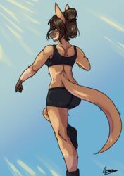  absurd_res anthro armain clothing female hair hair_bun hi_res kangaroo macropod mammal marsupial ruby_(comfycreations) solo sun 