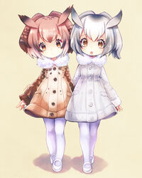  2girls :o brown_eyes brown_hair coat commentary_request eurasian_eagle_owl_(kemono_friends) fur_collar gradient_hair grey_hair hair_between_eyes head_wings kemono_friends long_sleeves looking_at_viewer mizoreame multicolored_hair multiple_girls northern_white-faced_owl_(kemono_friends) pantyhose shoes short_hair simple_background standing two-tone_hair white_footwear white_hair white_legwear wings 