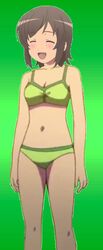  2015 ^_^ bikini blush female futsuu_no_joshikousei_ga_locodol_yattemita green_background green_bikini green_swimsuit legs swimsuit usami_nanako 