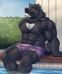  2019 adios anthro biceps canid canine canis chest_tuft clothing digital_media_(artwork) fur hi_res male mammal muscular muscular_anthro muscular_male mythological_canine mythological_creature mythology nipples pecs silver_fang smile solo swimwear tuft water were werecanid werecanine werewolf wet wolf 