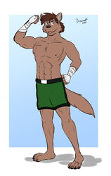  2021 4_toes 5_fingers abs anthro athletic athletic_anthro athletic_male barefoot black_nose bottomwear brown_body brown_fur brown_hair canid canine canis chest_scar claws clothed clothing fangs feet fingers flexing fur green_bottomwear green_clothing green_shorts hair hand_on_hip hand_on_own_hip hand_wraps hi_res hindpaw humanoid_hands looking_at_viewer male mammal muscular muscular_anthro muscular_male navel nils_rinkan nipples open_mouth paws pecs pose scar shadowduck shorts signature solo teeth toe_claws toes tongue topless topless_male wolf wraps 