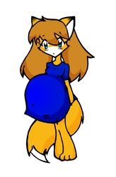  anthro barefoot belly big_belly breasts canid canine clothed clothing feet female fox huge_belly hyper hyper_pregnancy inari_tai mammal pantsless pregnant pregnant_anthro pregnant_female saburox solo thin_thighs tl 